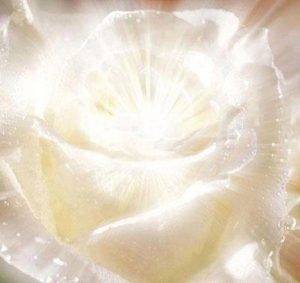 The White Flame of Illumination Level 5