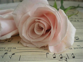 New Life: Changing forms….relationships…